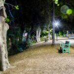 green wooden bench near green trees during daytime