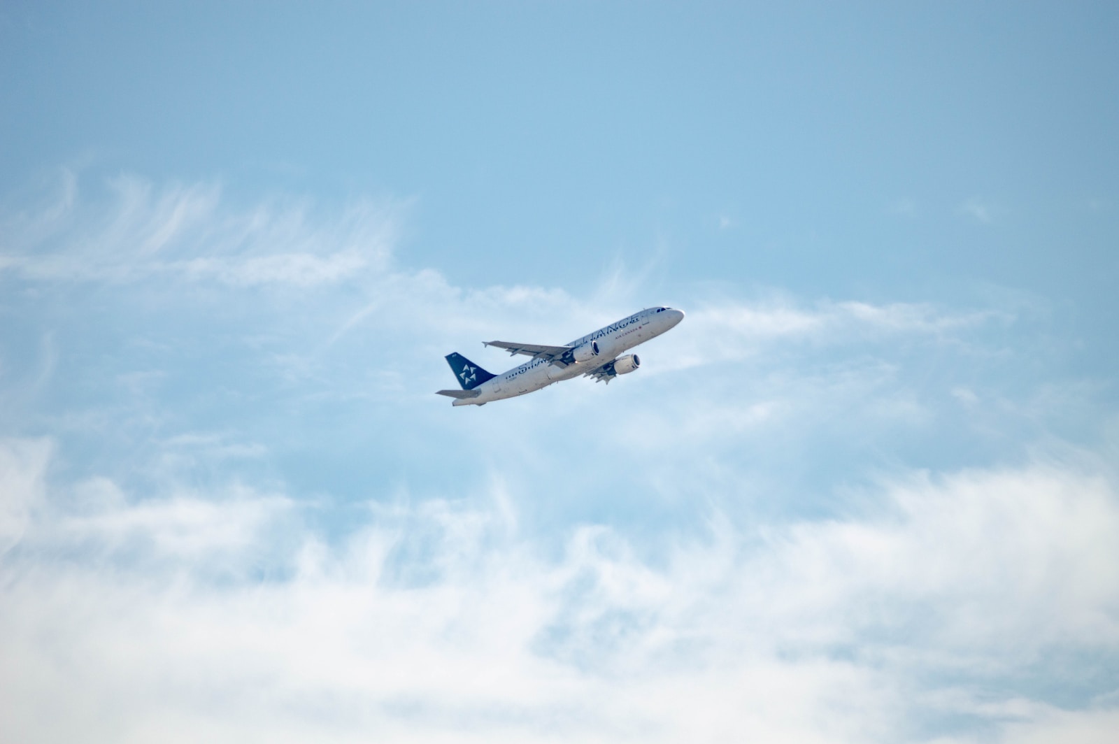 airliner in flight