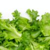 green vegetable on white background