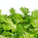 green vegetable on white background